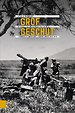 Grof geschut