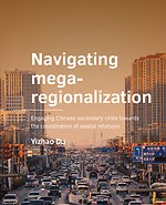 Navigating mega-regionalization