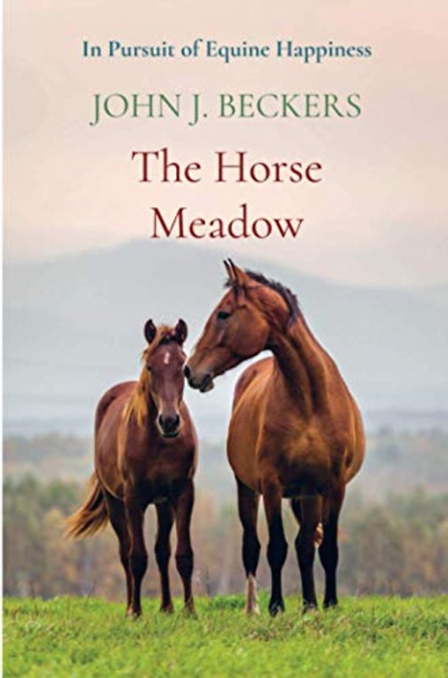 The Horse Meadow