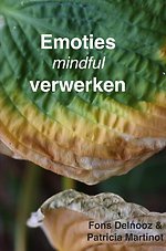 Emoties mindful verwerken