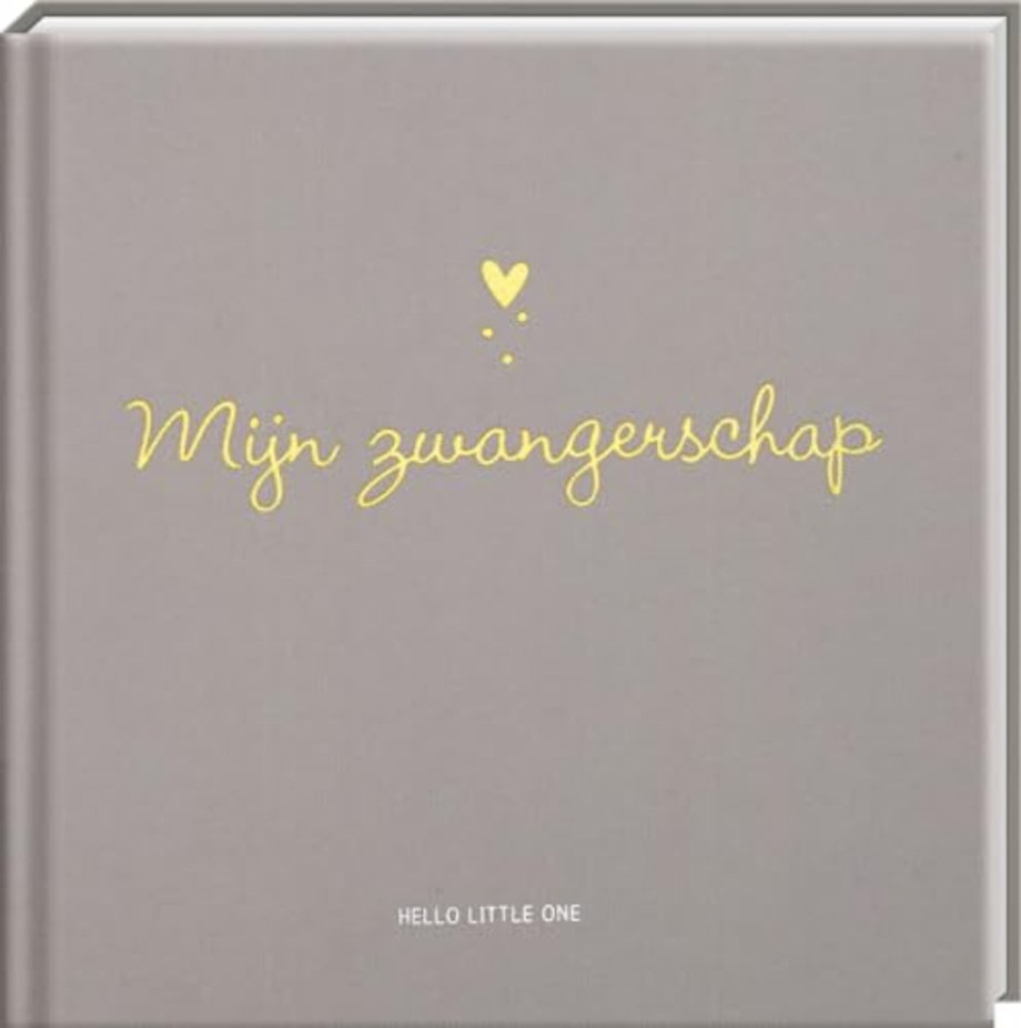 Baby invulboeken - Mijn zwangerschap