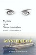 Mysterie op de Nieuw Amsterdam II