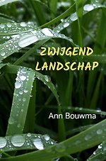 Zwijgend Landschap