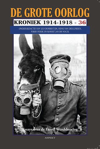 Het optrede van de Britse marine op de Dwina 1918-1920