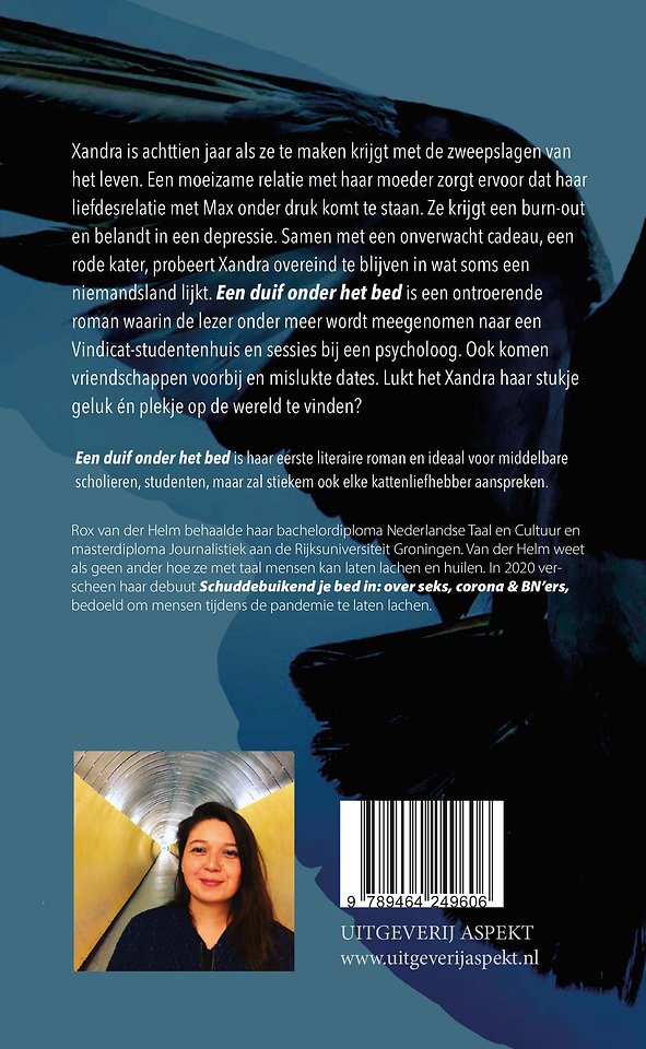 Een duif onder het bed