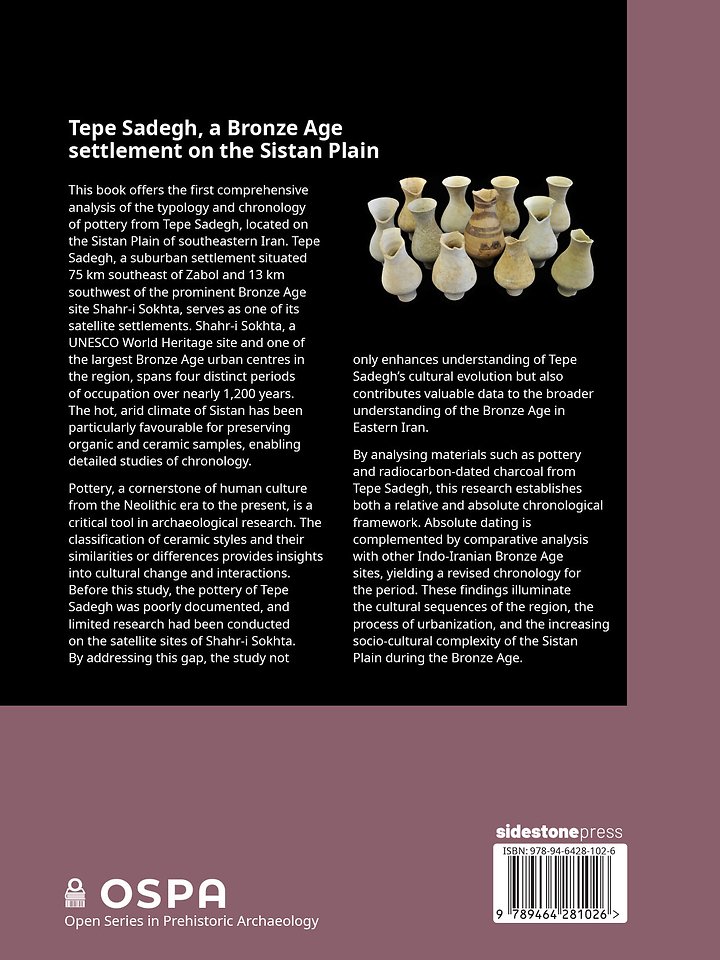 Tepe Sadegh, a Bronze Age settlement on the Sistan Plain