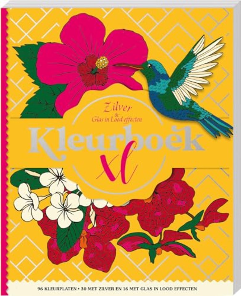 Kleurboek XL - Zilver & Glas in lood effecten