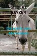 De ezels van Menousos