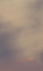 To all the men that made me feel, Scars to heal