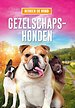 Gezelschapshonden