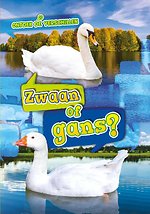 Zwaan of gans?