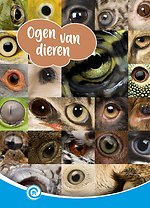 Ogen van dieren