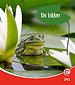 de kikker