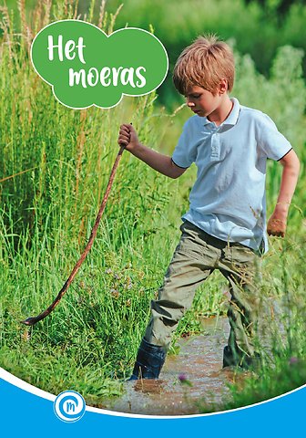 Het moeras