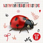 De levensloop van een lieveheersbeestje
