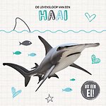 De levensloop van een haai
