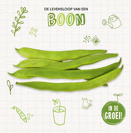 Boon