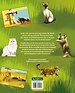 De wilde wereld van katten