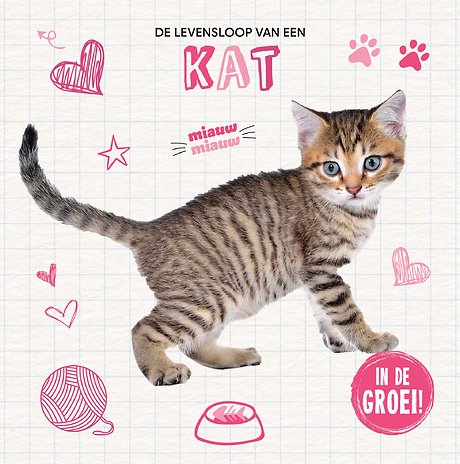 Kat