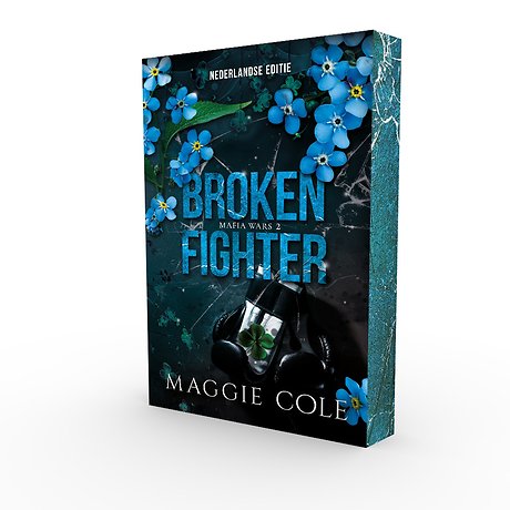 Broken fighter
