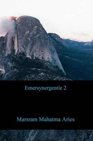 Emersynergentie 2