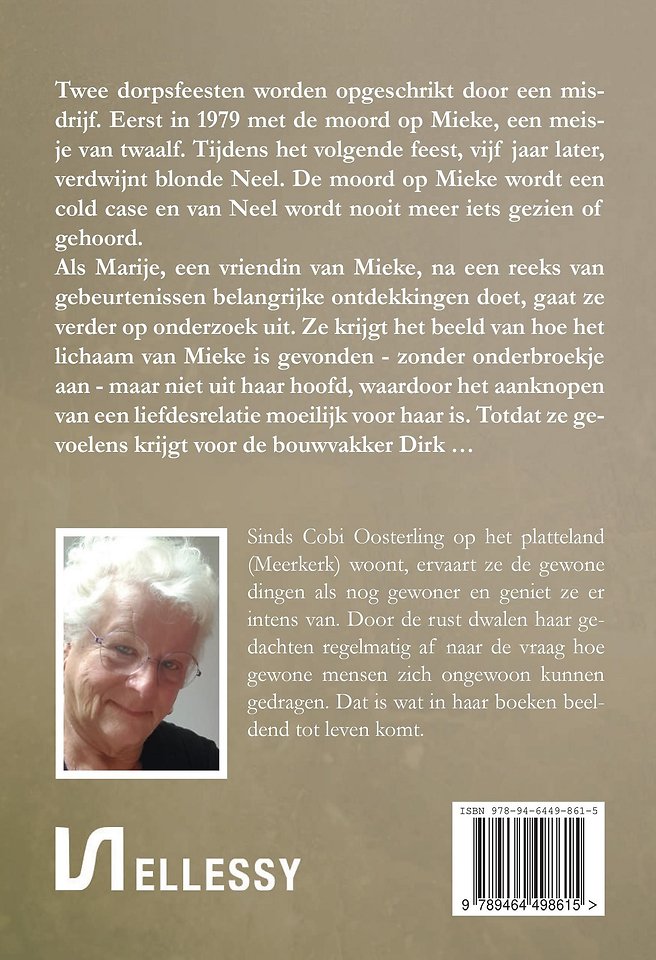 Het dorpsfeest