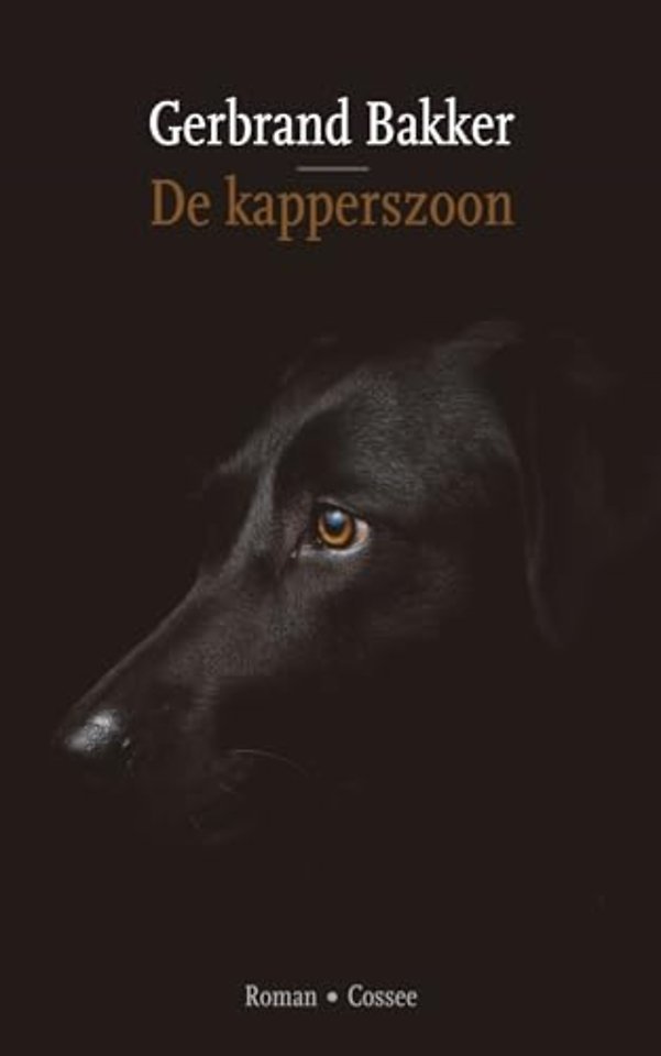De kapperszoon