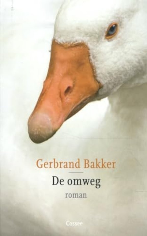 De omweg