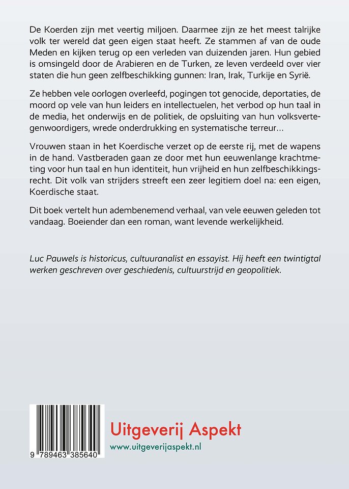 Geschiedenis van de Koerden