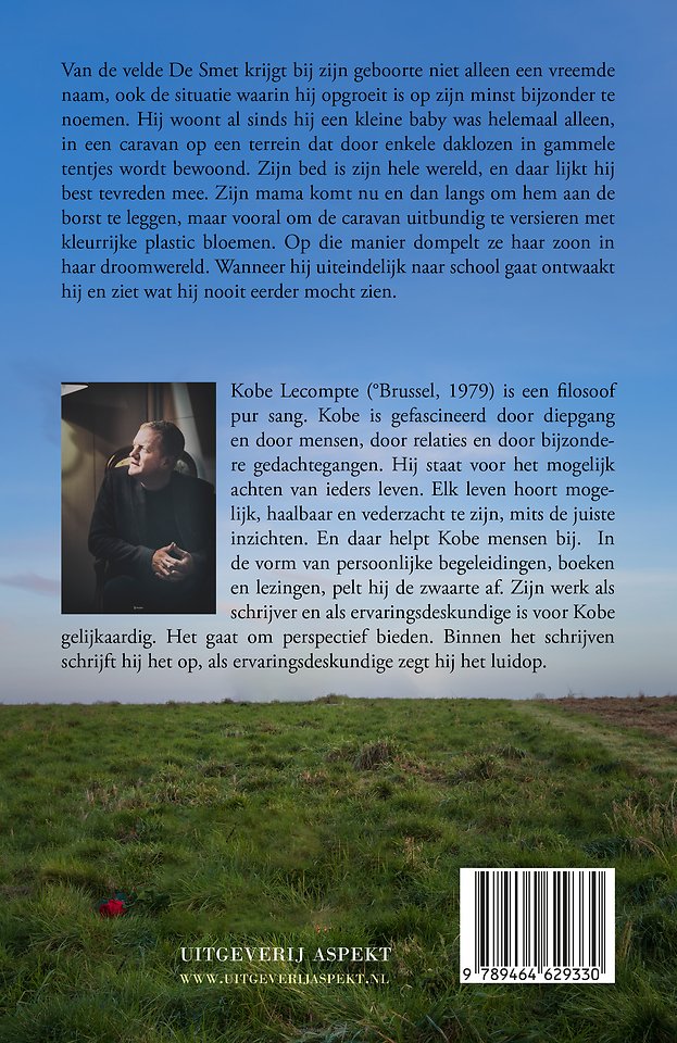Van de Velde De Smet