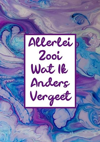Sinterklaascadeau - Wachtwoordenboekje / Wachtwoorden Boek