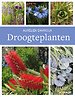 Droogteplanten