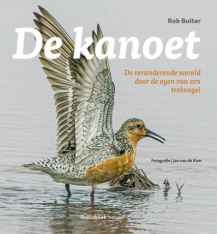 De kanoet