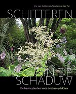 Schitteren in de schaduw
