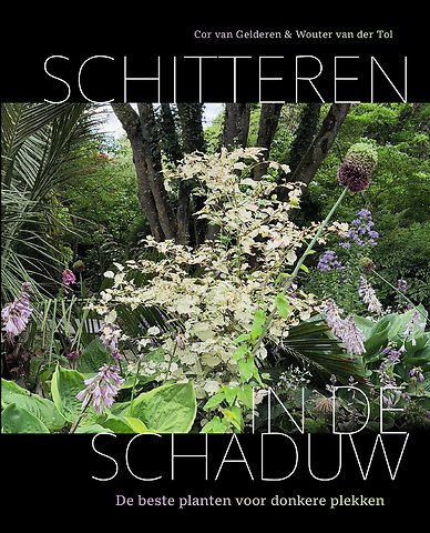 Schitteren in de schaduw
