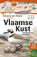 Fauna en Flora van de Vlaamse kust