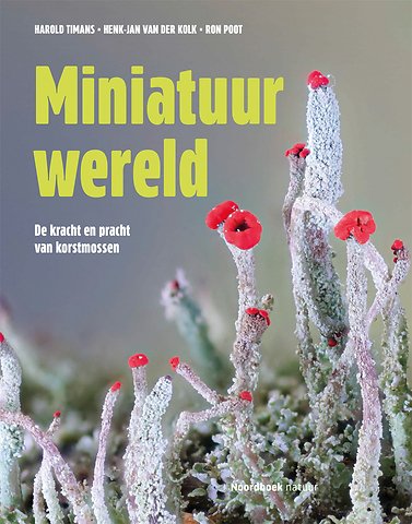 Miniatuurwereld