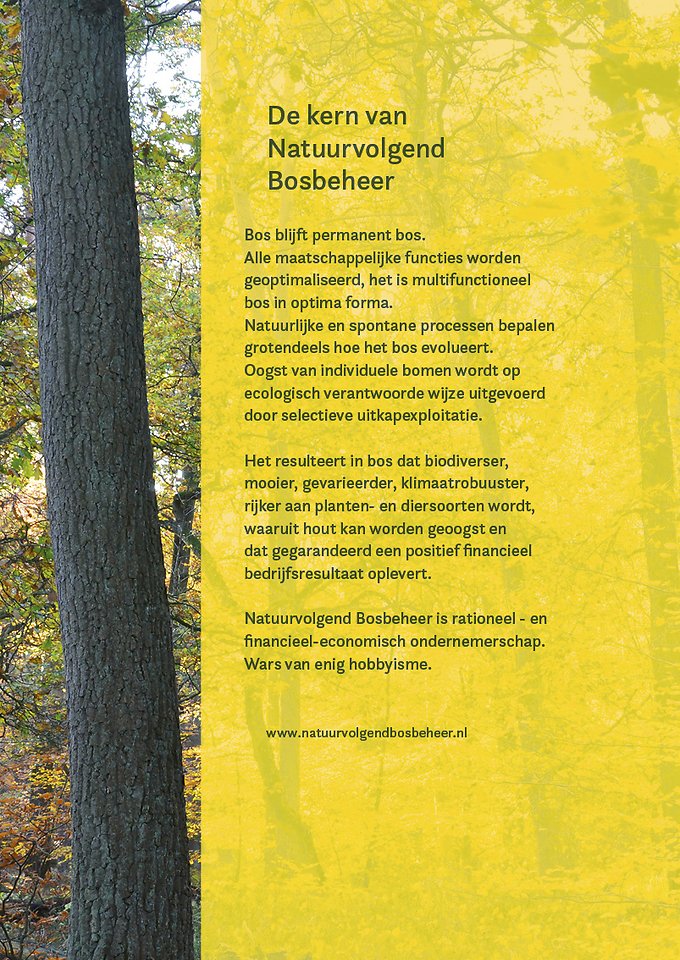 Natuurvolgend bosbeheer