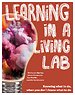 Learning in a living lab Learning in a living lab