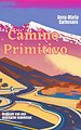 Camino Primitivo
