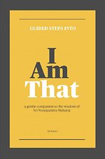 Guided steps into 'I Am That"