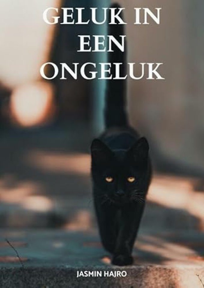 Geluk in een ongeluk