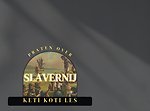 Praten over slavernij