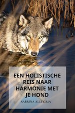 Een holistische reis naar harmonie met je hond