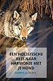 Een holistische reis naar harmonie met je hond
