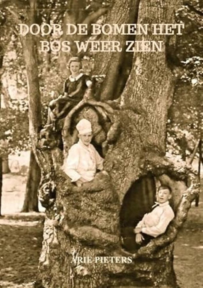 Door de bomen het bos weer zien