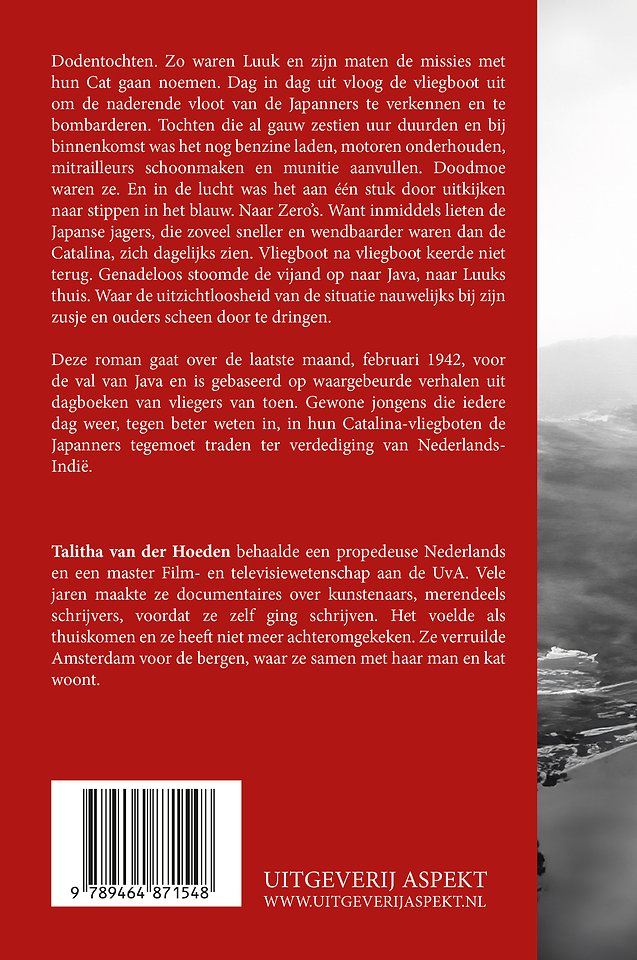 De Cat en de val van Java