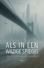 Als in een wazige spiegel