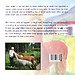 Viatou, de alpaca die niet groot wilde worden