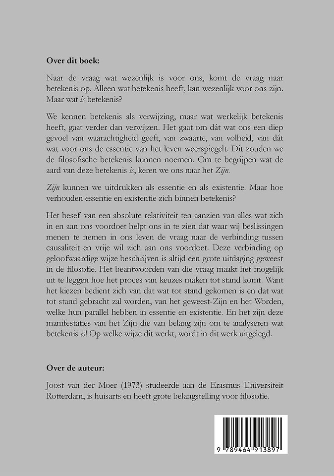 Betekenis als synthese van Zijn en Worden